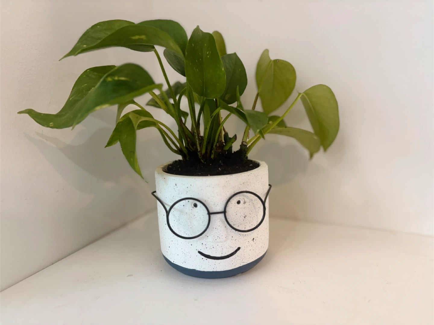 We have a handsome boy with messy hair🤓