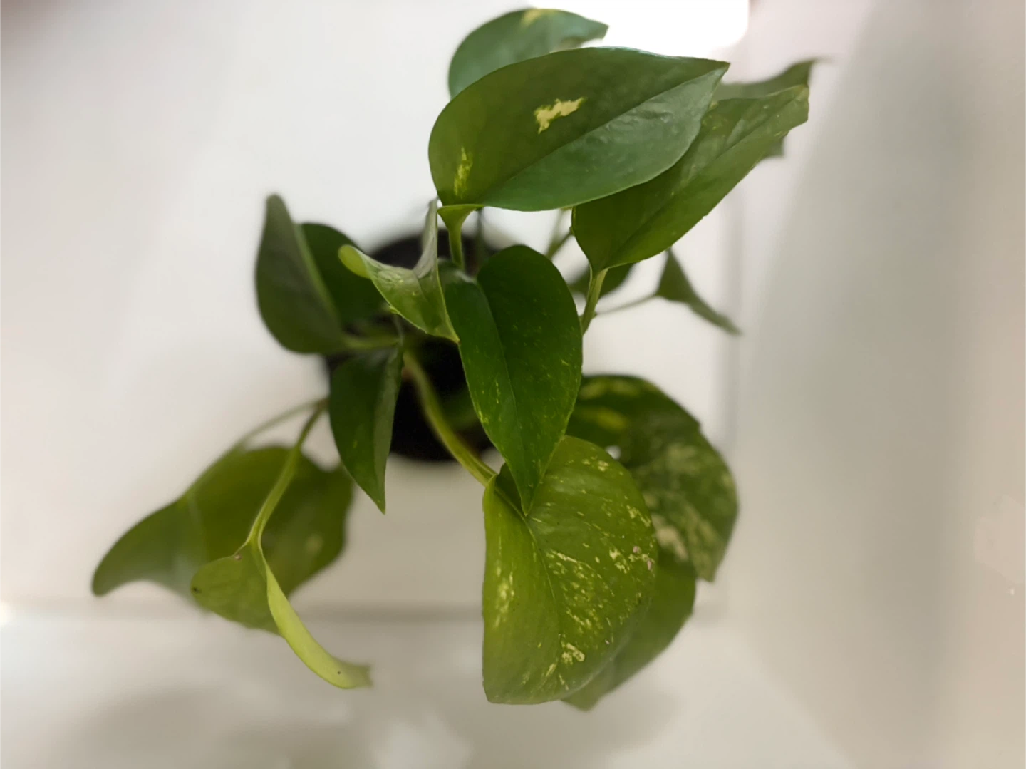 We have a handsome boy with messy hair🤓 - photo 3