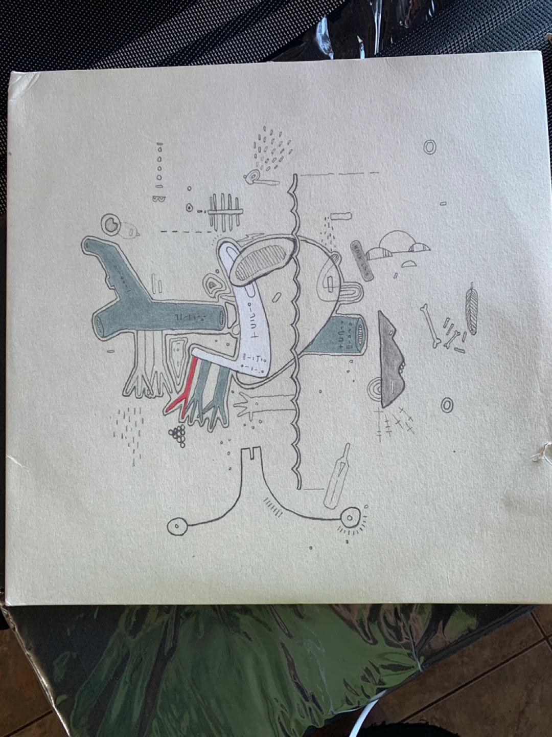 The Modern Leper Vinyl Record