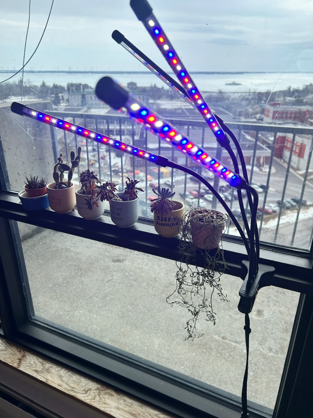 4-Head LED Grow Light