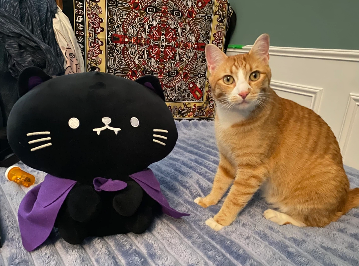 Black Cat Plush Toy with Purple Cape