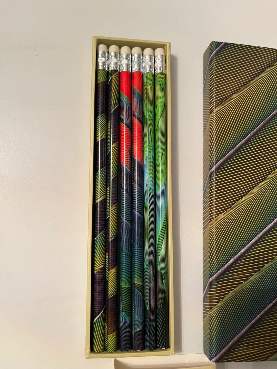 🆕Life Canvas Wild 6 Stylish Pencils with Erasers - photo 2