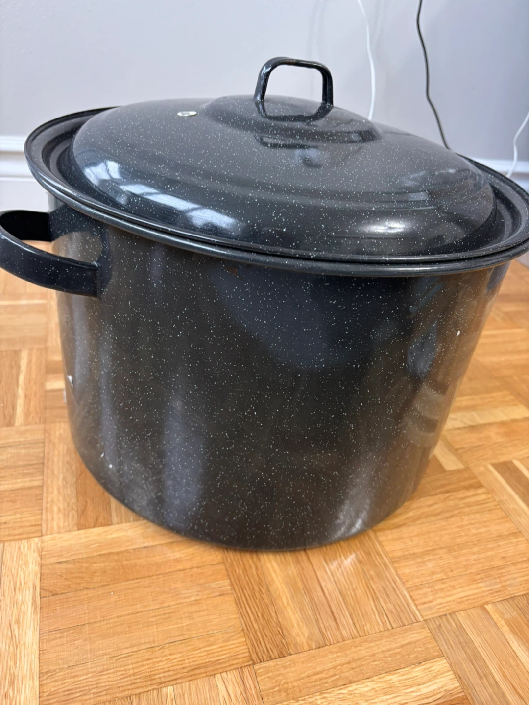 Large Black Speckled Stock Pot with Lid