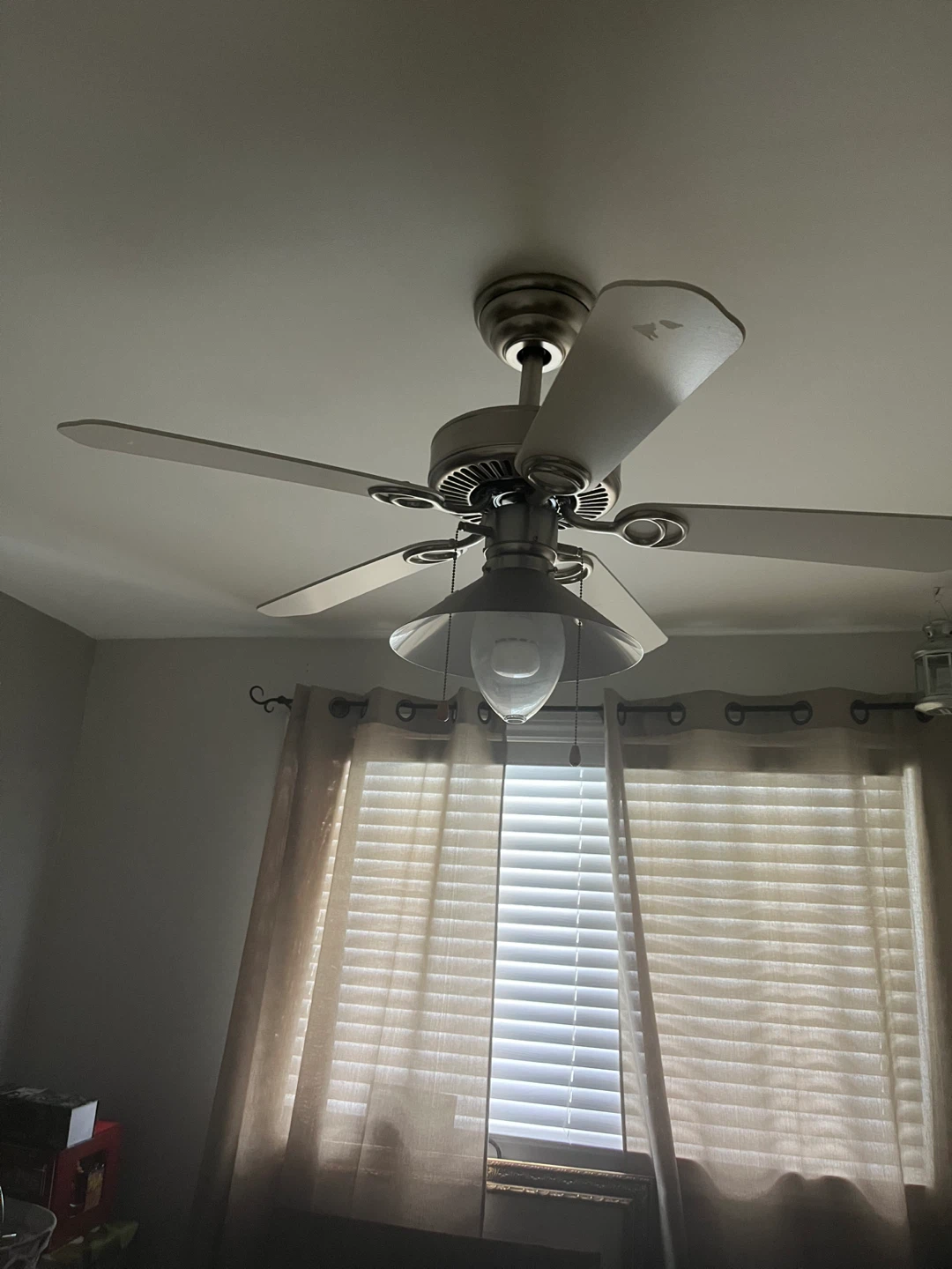 Ceiling Fan with Lights