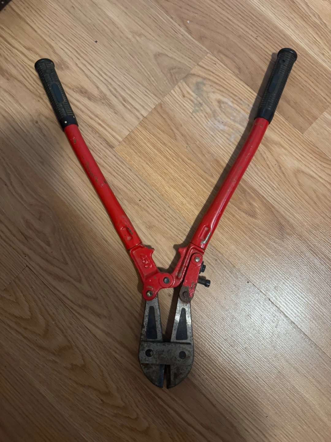 Red Bolt Cutters
