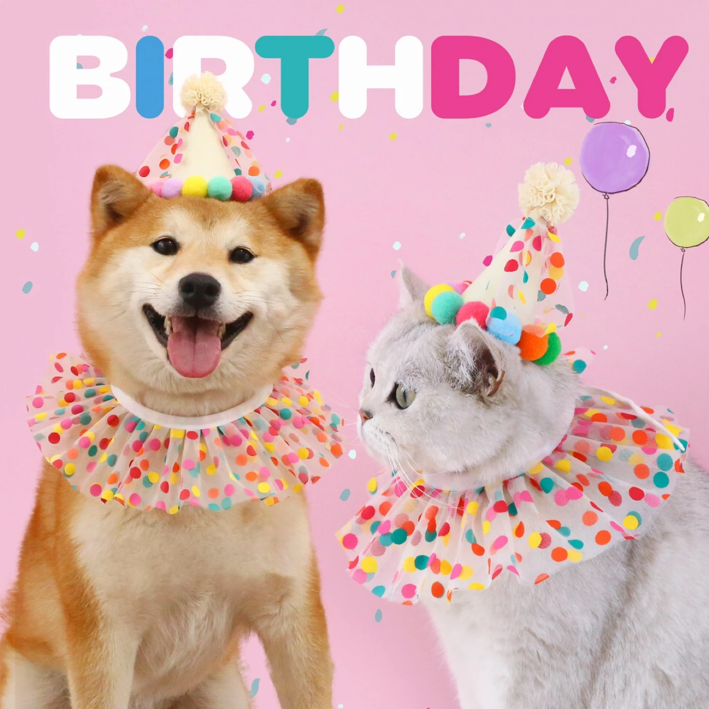 Pet Birthday Party Hat and Collar Set