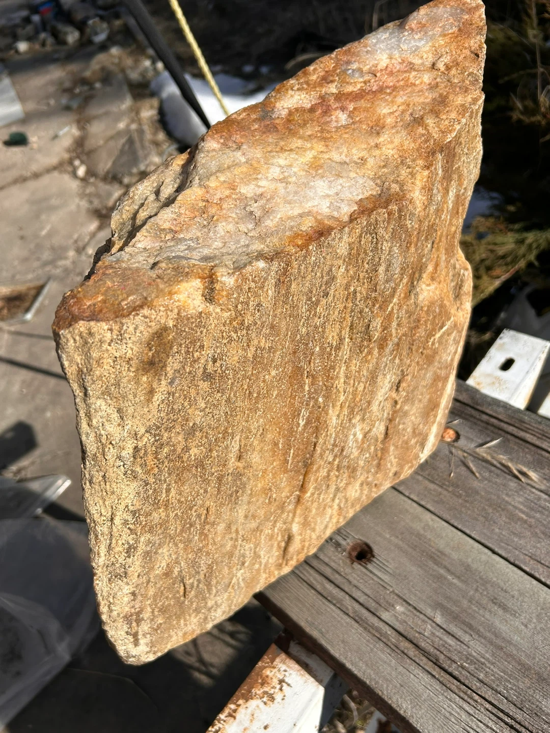 Petrified wood - photo 2
