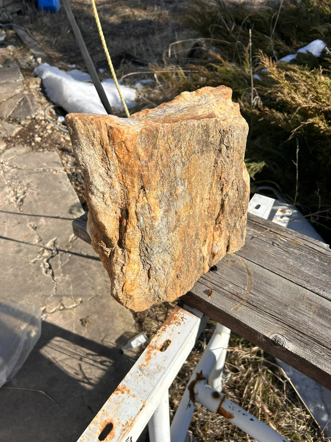 Petrified wood - photo 4