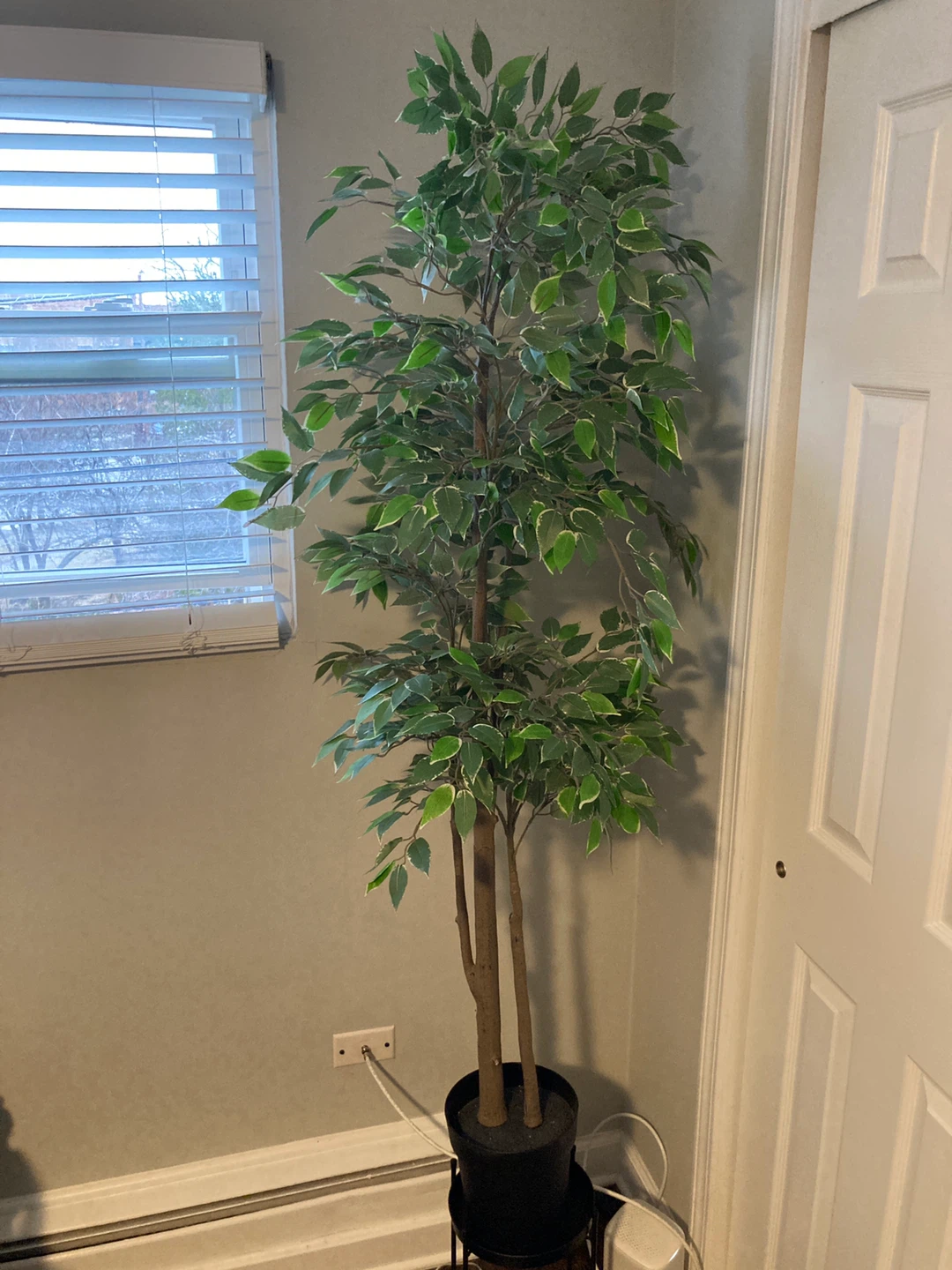 Artificial Ficus Tree