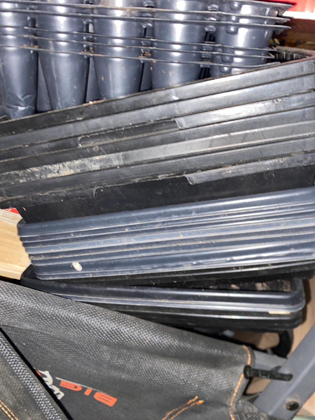 Large Lot of Seedling Starter Trays and Micro green trays - photo 5