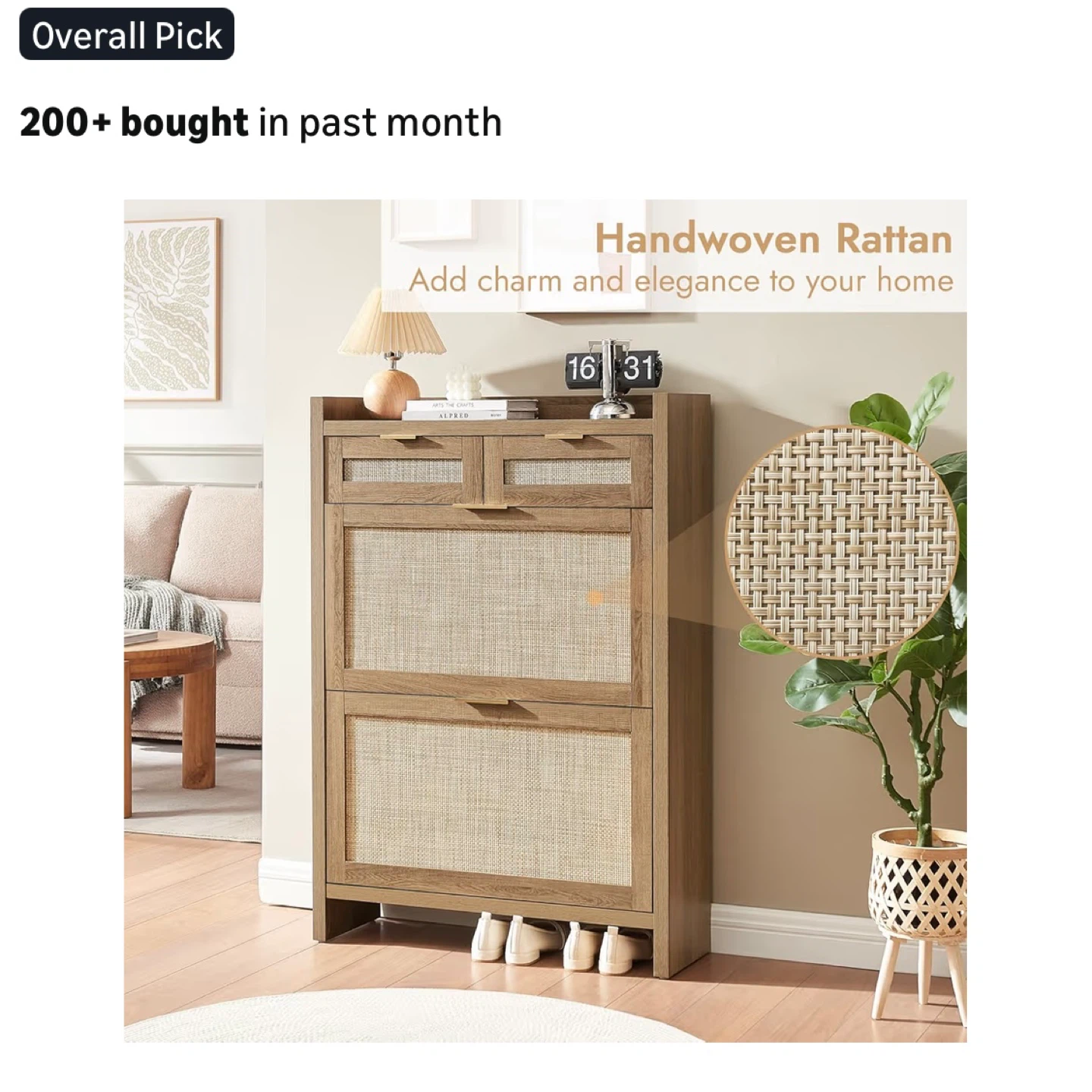 Shoe Storage Cabinet with 2 Drawers & 2 Flip Drawers - photo 4