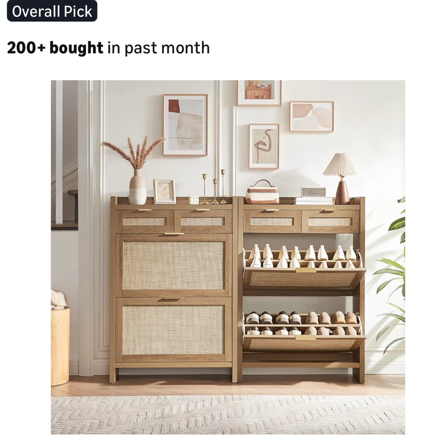 Shoe Storage Cabinet with 2 Drawers & 2 Flip Drawers