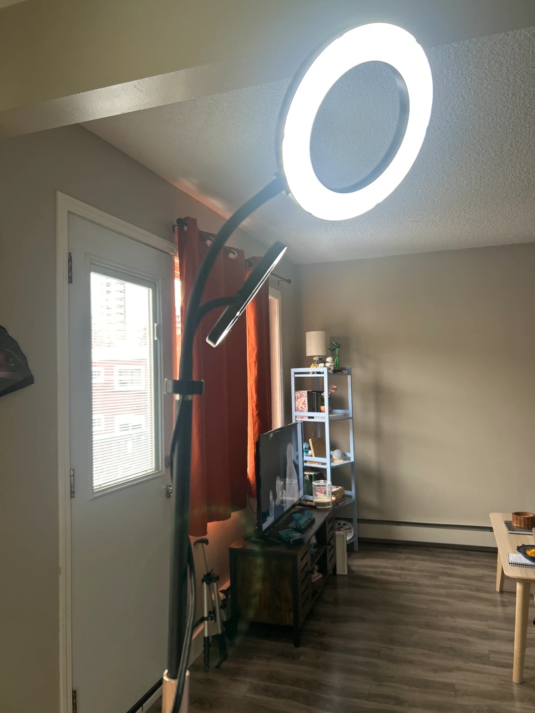 Dual head Plant light! - photo 5