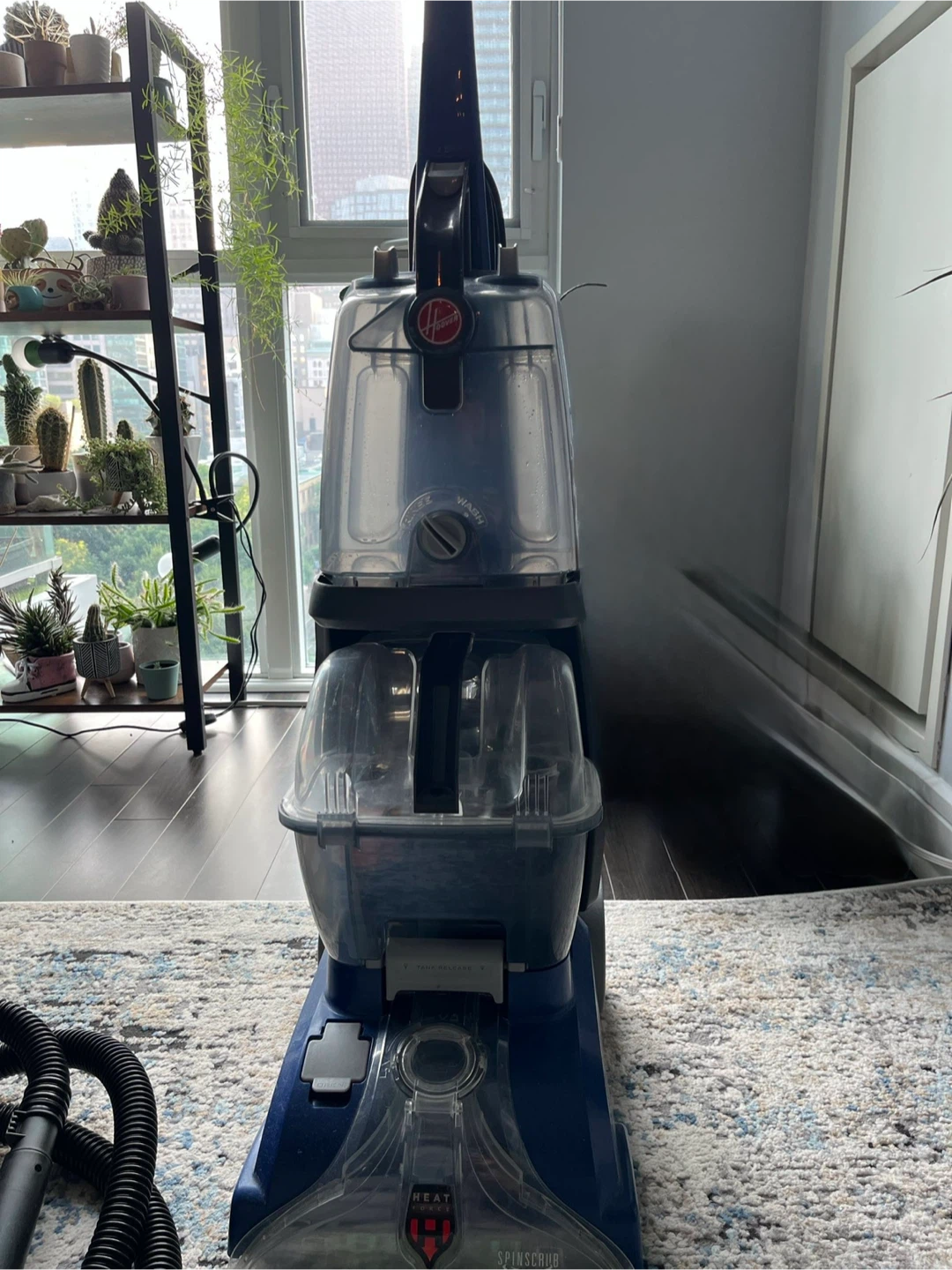 Hoover Power Scrub Deluxe Pet Carpet & Upholstery Cleaner