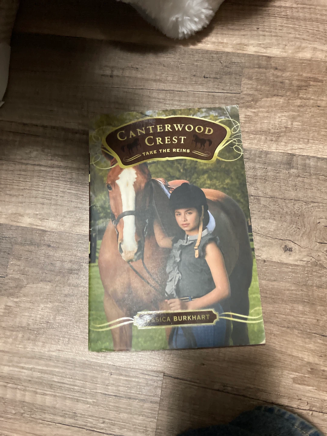 Canterwood Crest Book Series by Jessica Burkhart - photo 2