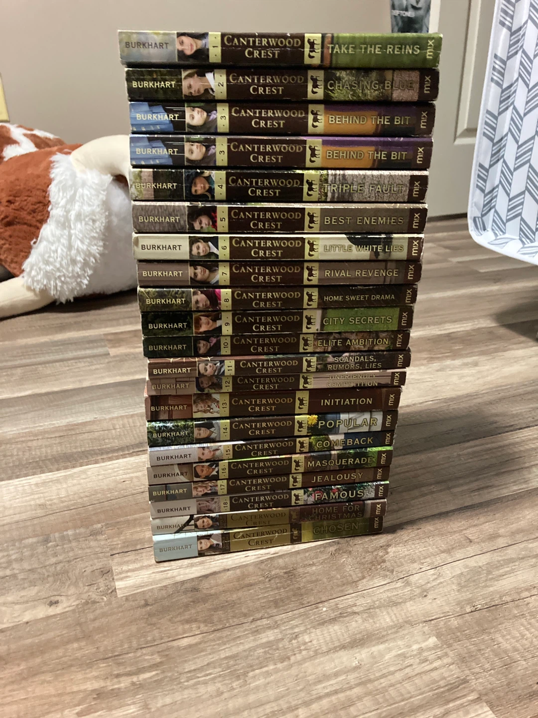 Canterwood Crest Book Series by Jessica Burkhart
