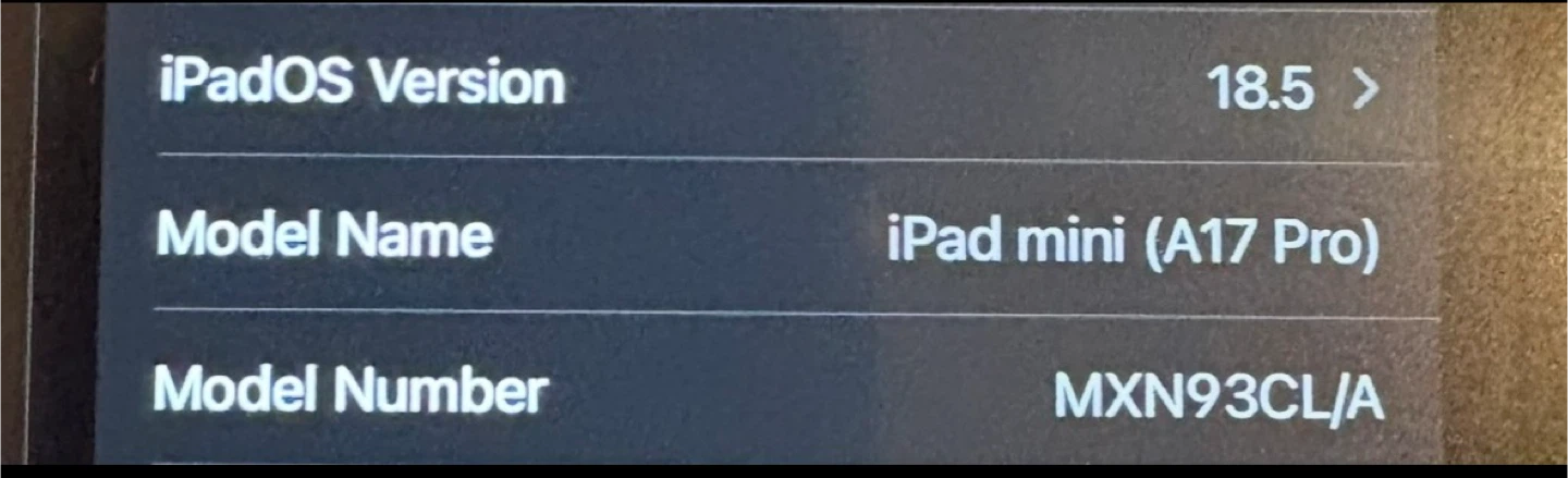 Apple iPad mini (A17 Pro) Tablet - photo 5