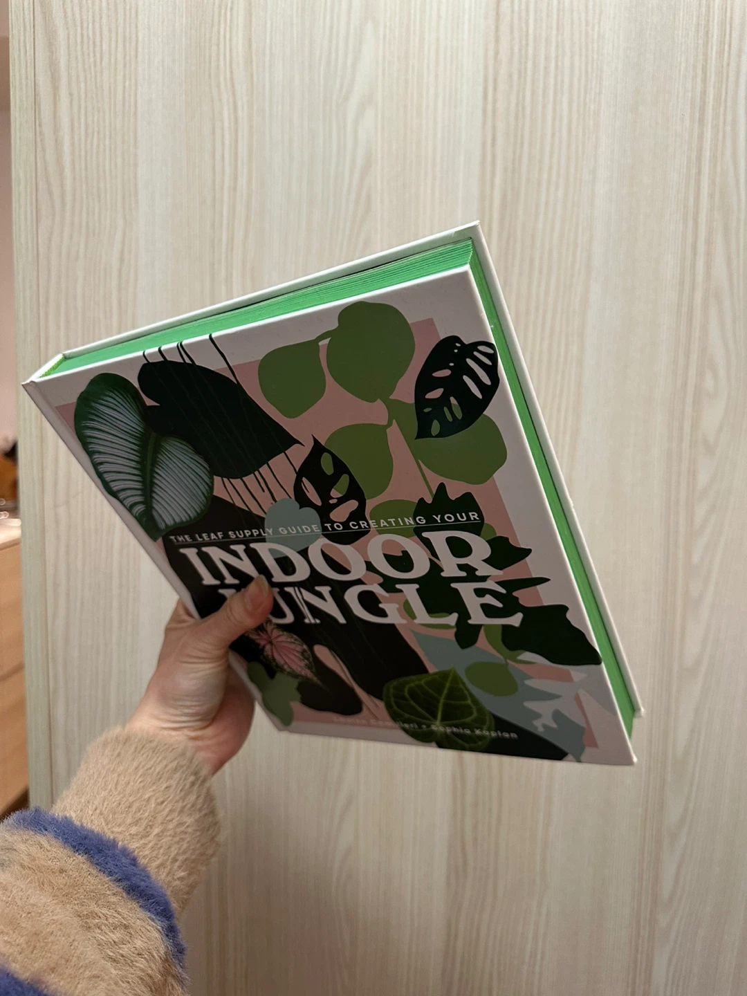 The Leaf Supply Guide to Creating Your Indoor Jungle Book - photo 3