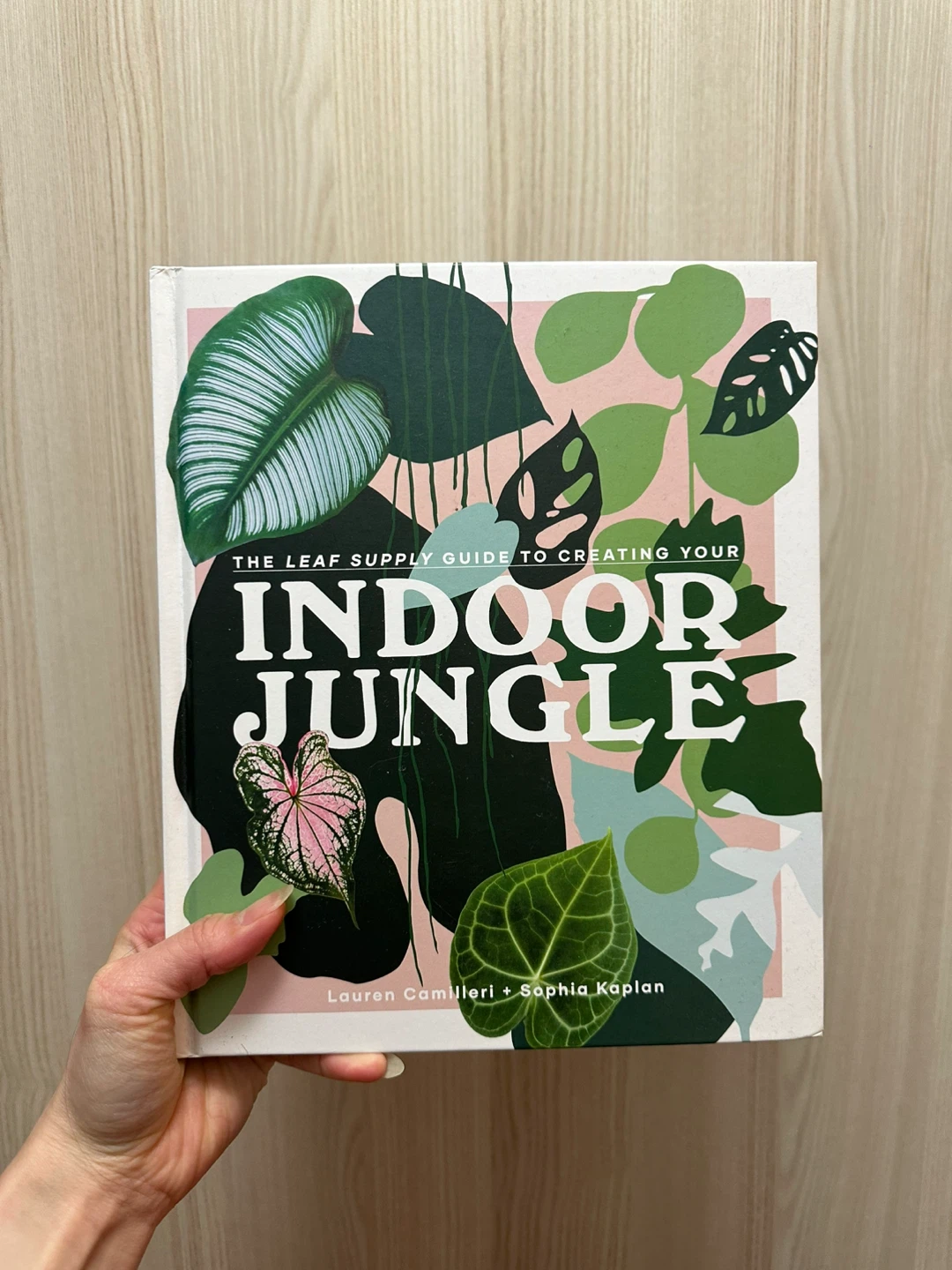 The Leaf Supply Guide to Creating Your Indoor Jungle Book