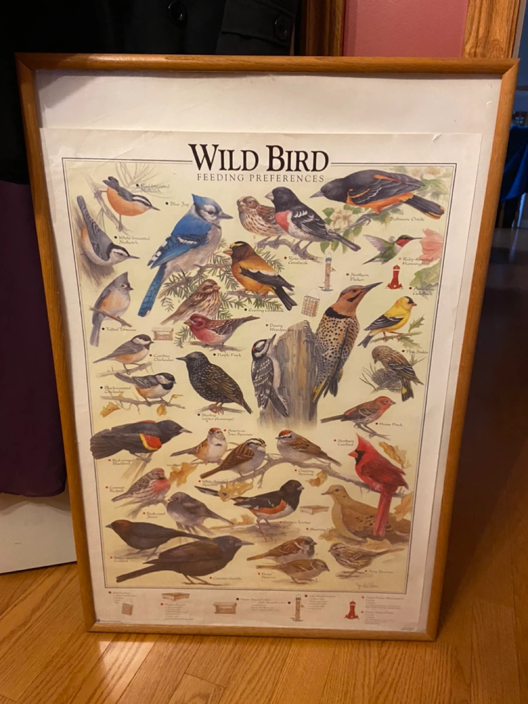 Large frame approx 37x24 inches with Wild Bird  Poster