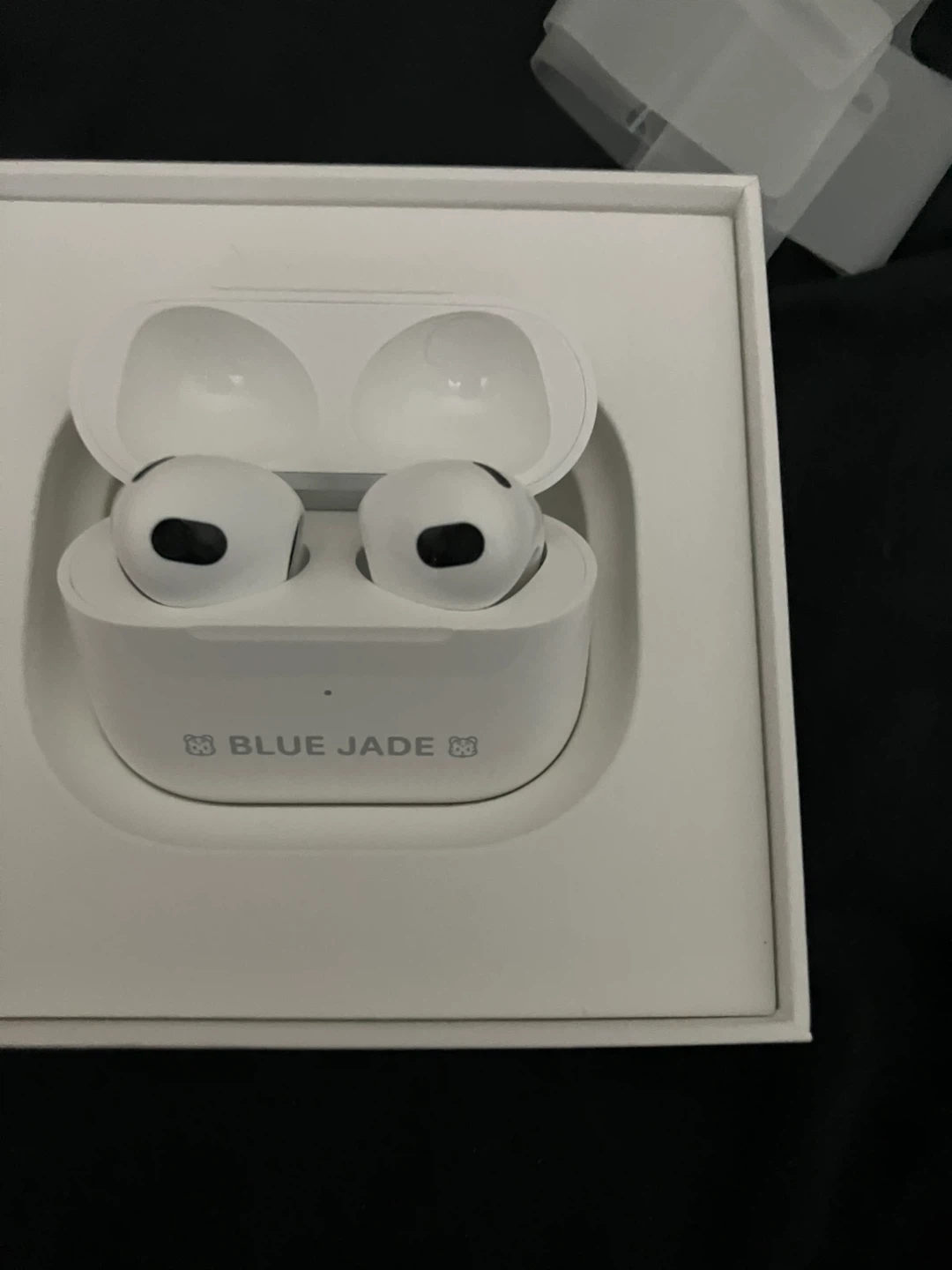 Apple AirPods 3rd Generation with MagSafe Charging Case - photo 4