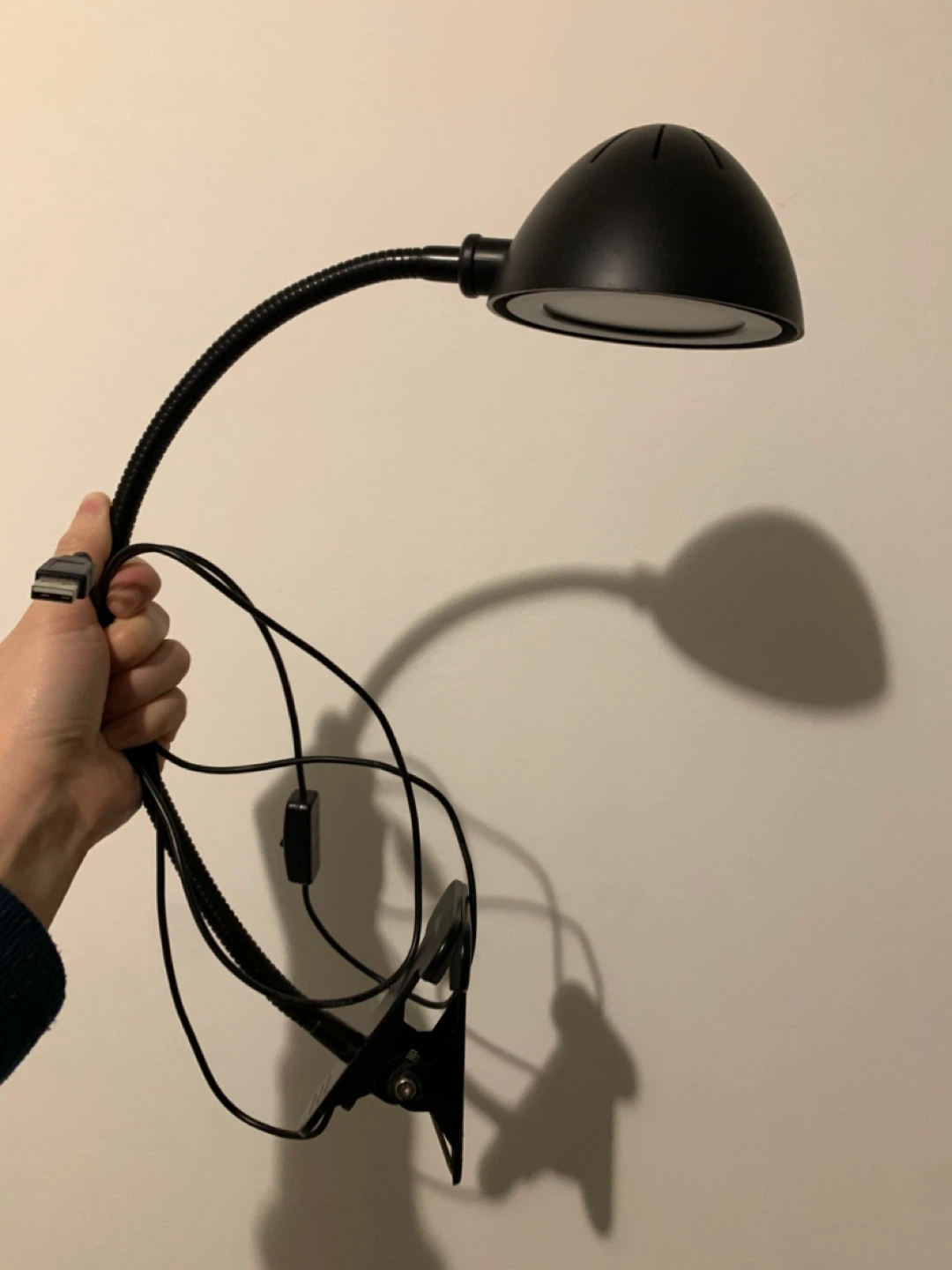 Clamp on reading lamp with USB cord