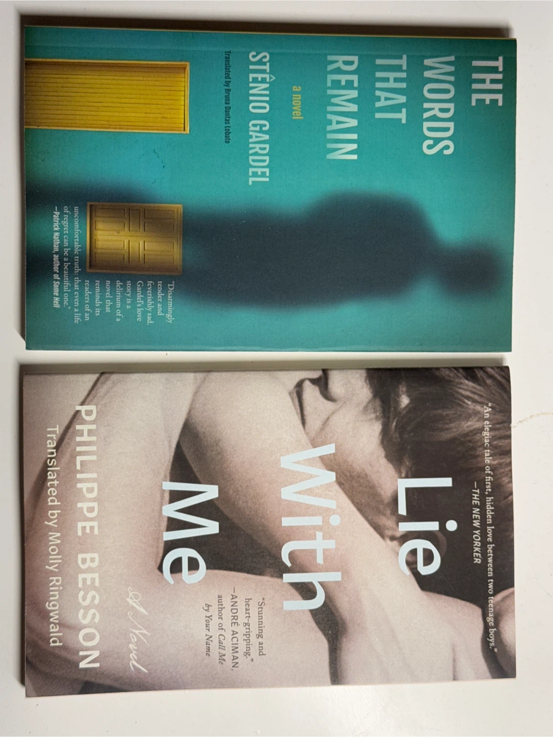 Literary Fiction Bundle: Lie With Me and The Words That Remain