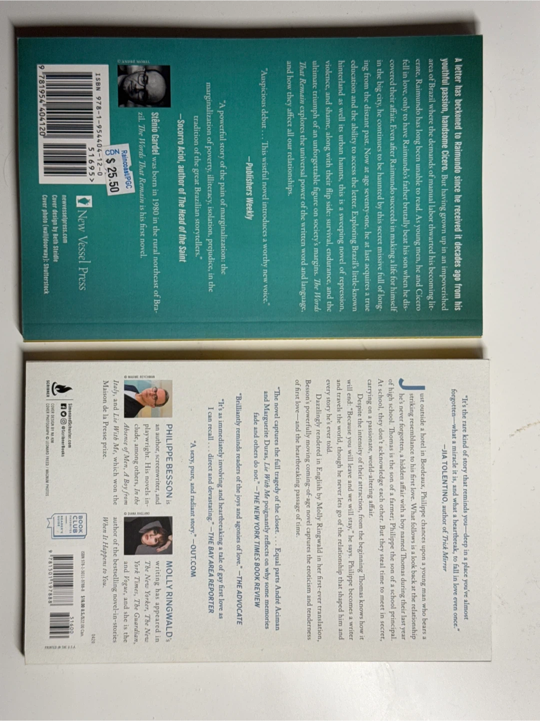 Literary Fiction Bundle: Lie With Me and The Words That Remain - photo 2