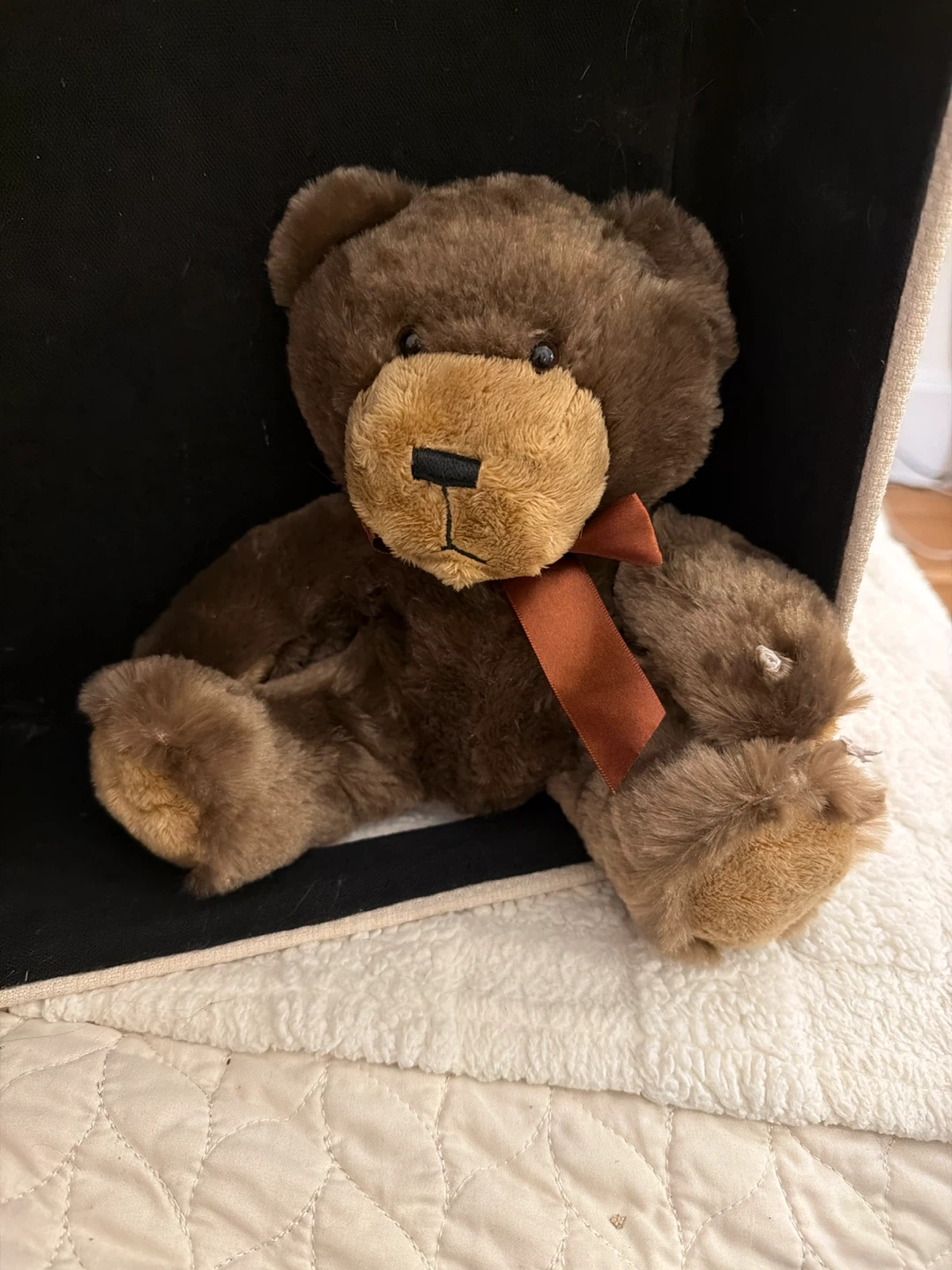 Brown Teddy Bear with Ribbon