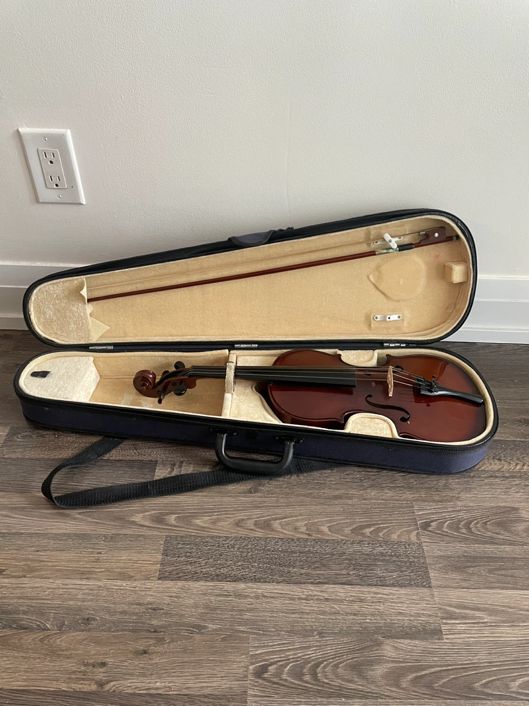 Violin with Case and Bow