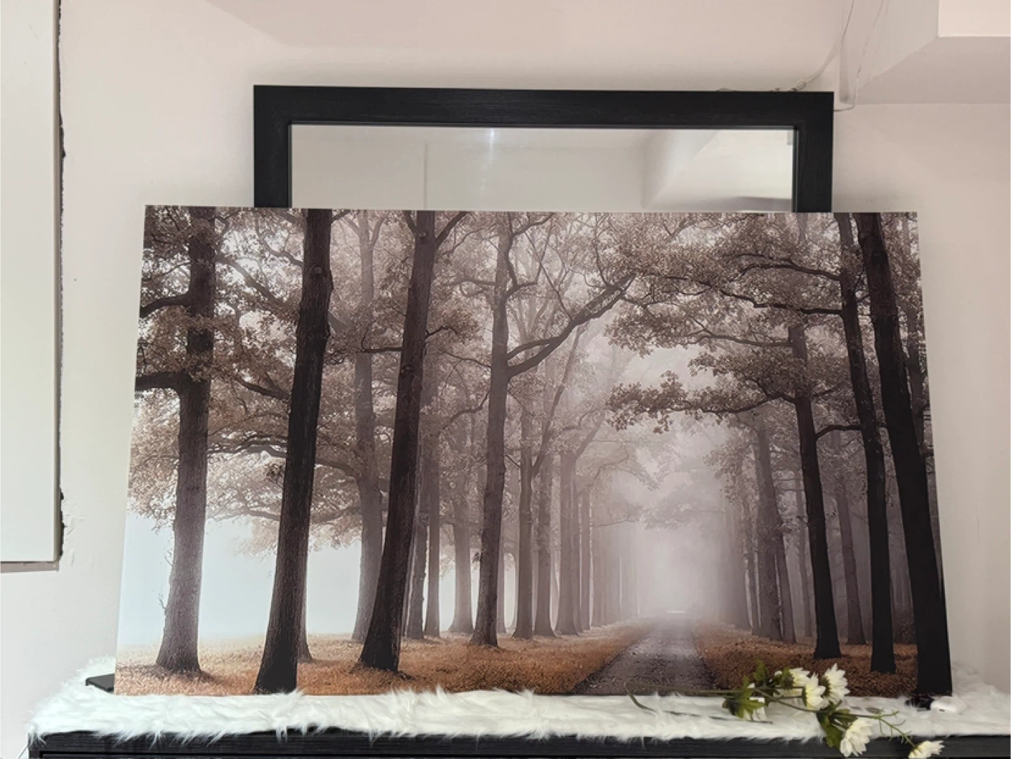Feathers Canvas Wall Art