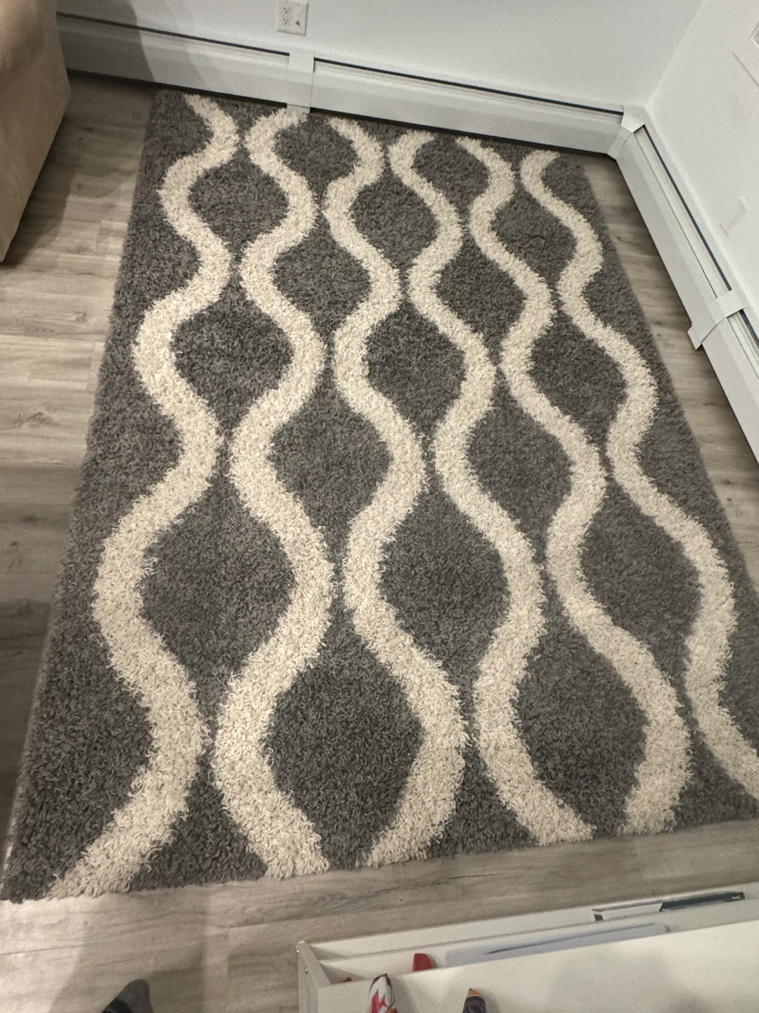 Shaggy Area Rug