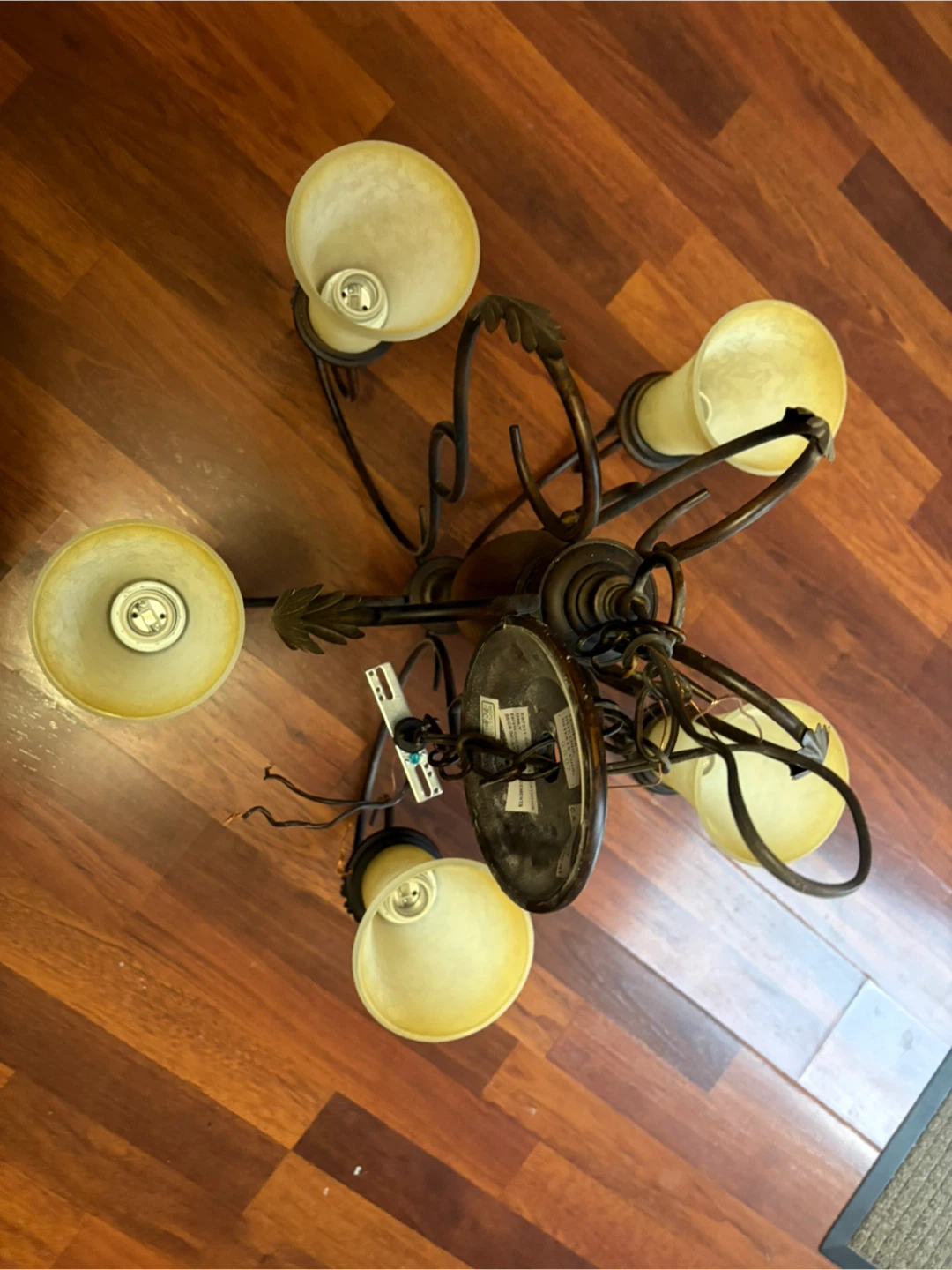 5-Light Chandelier with Frosted Glass Shades - photo 4