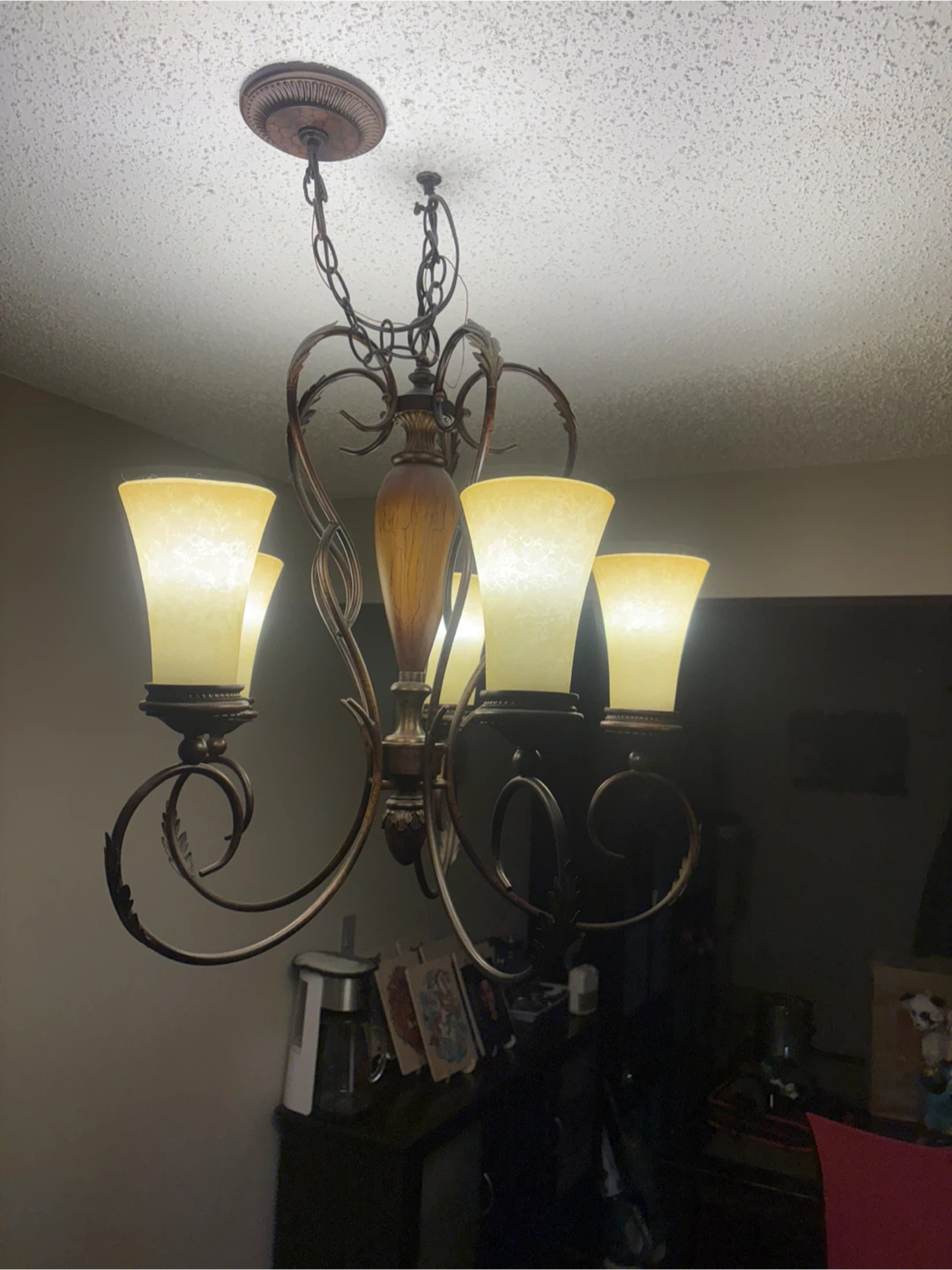 5-Light Chandelier with Frosted Glass Shades