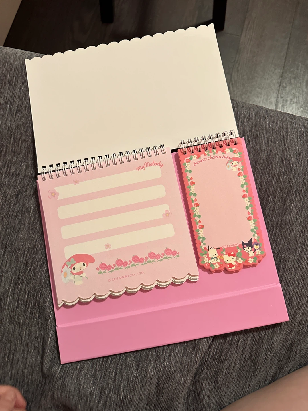 Sanrio Characters Pink Spiral Notebook & Sticker Set - photo 4