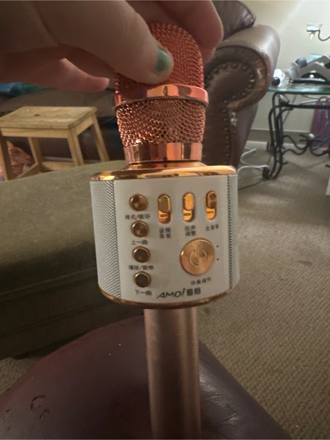 AMOI Karaoke Microphone