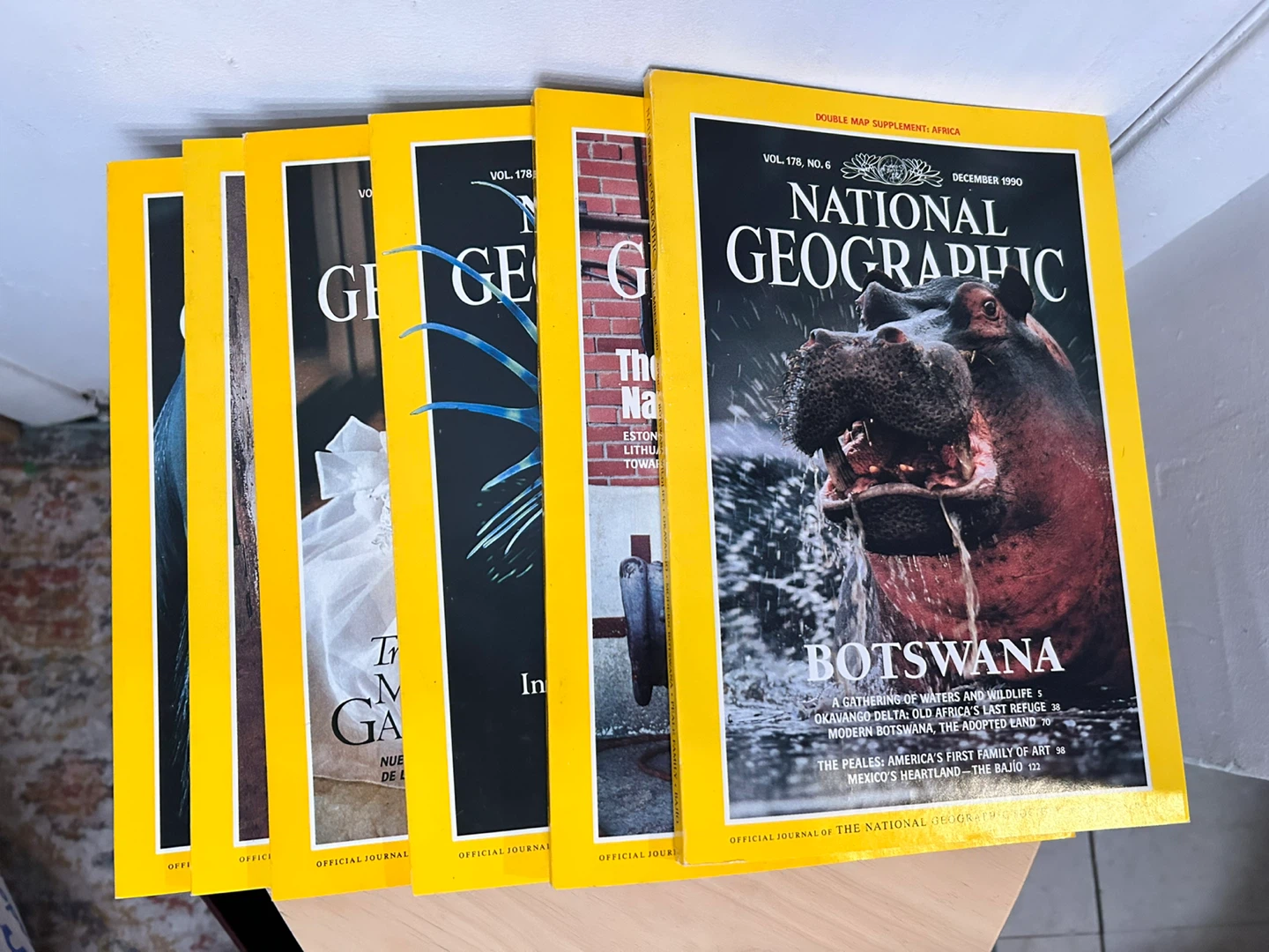 NATIONAL GEOGRAPHIC Magazines 1990 with Cover Case