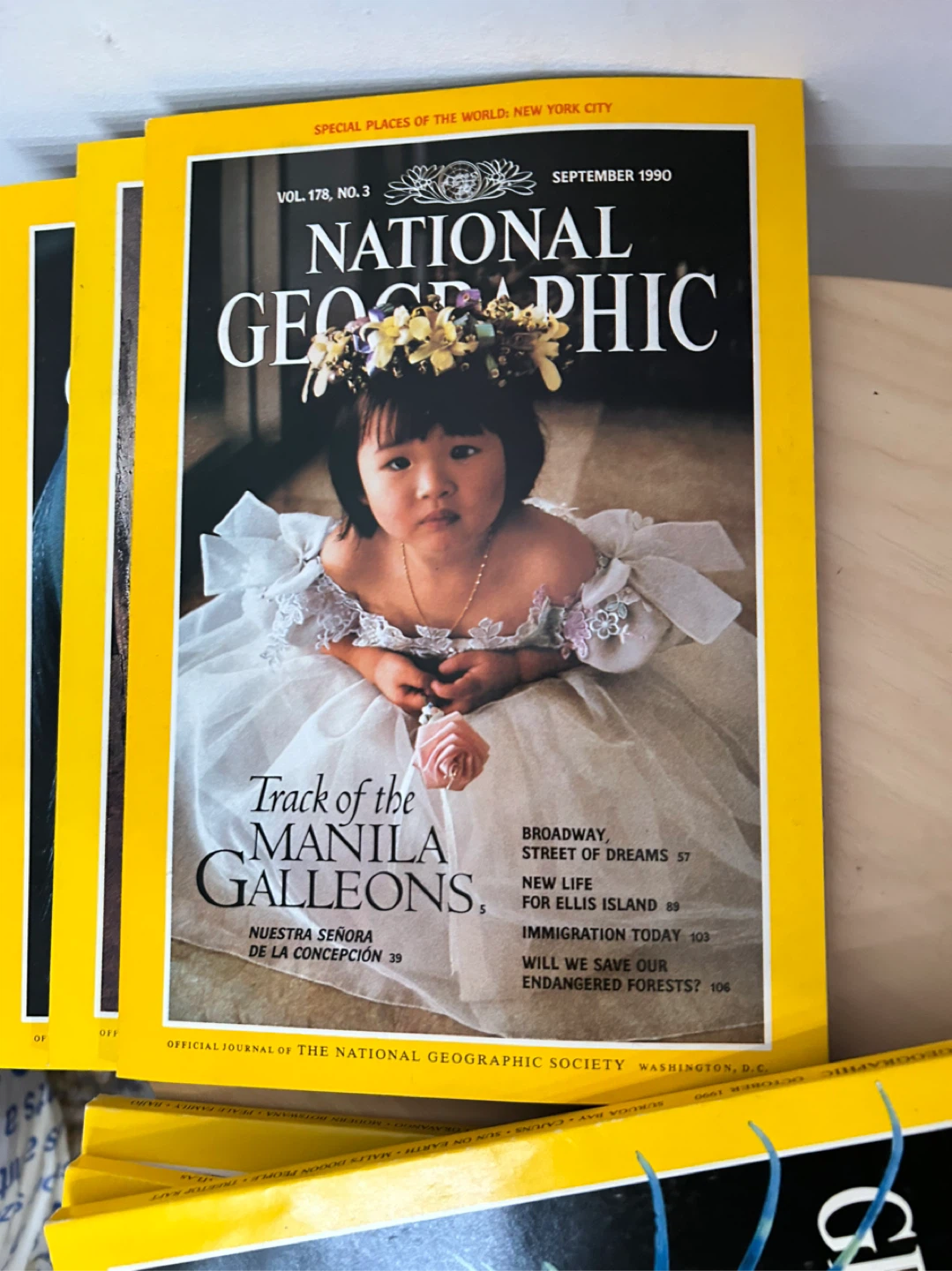 NATIONAL GEOGRAPHIC Magazines 1990 with Cover Case - photo 5