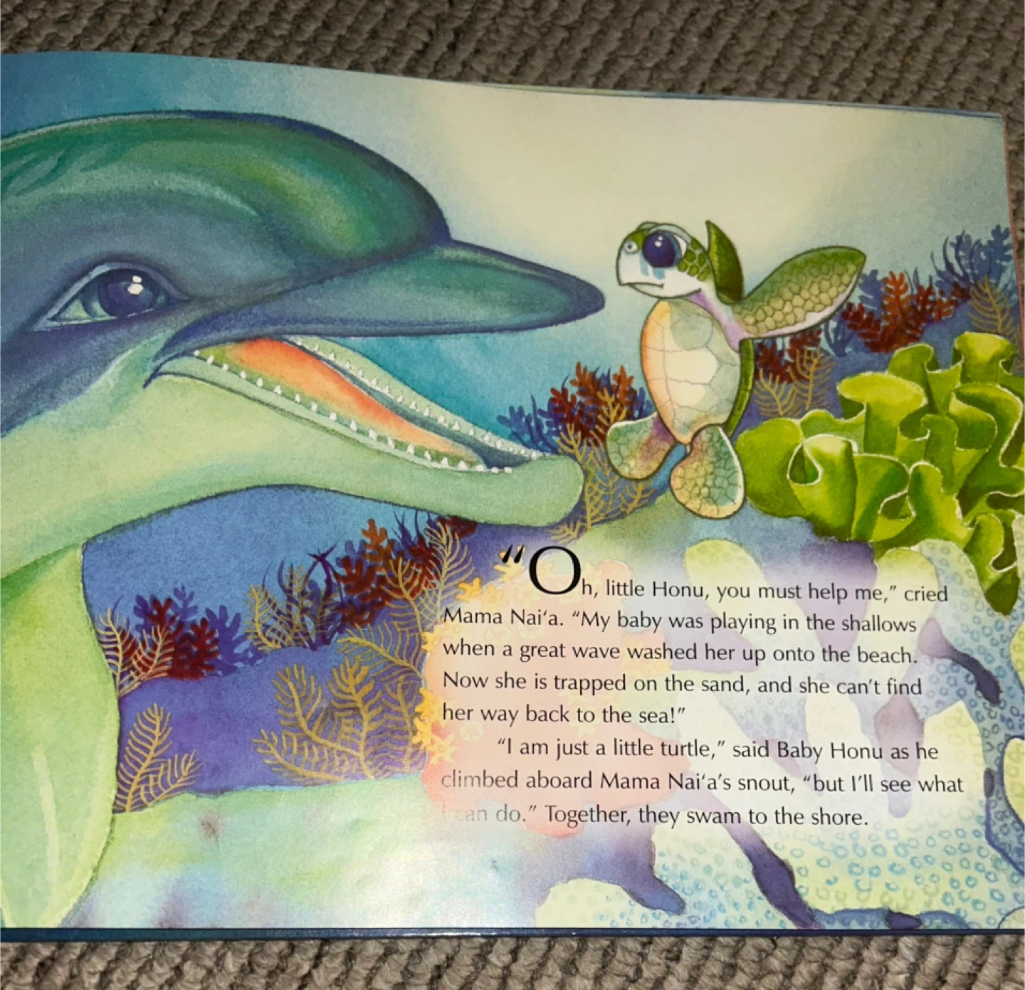 Baby Honu Saves The Day Book by Tammy Yee - photo 5