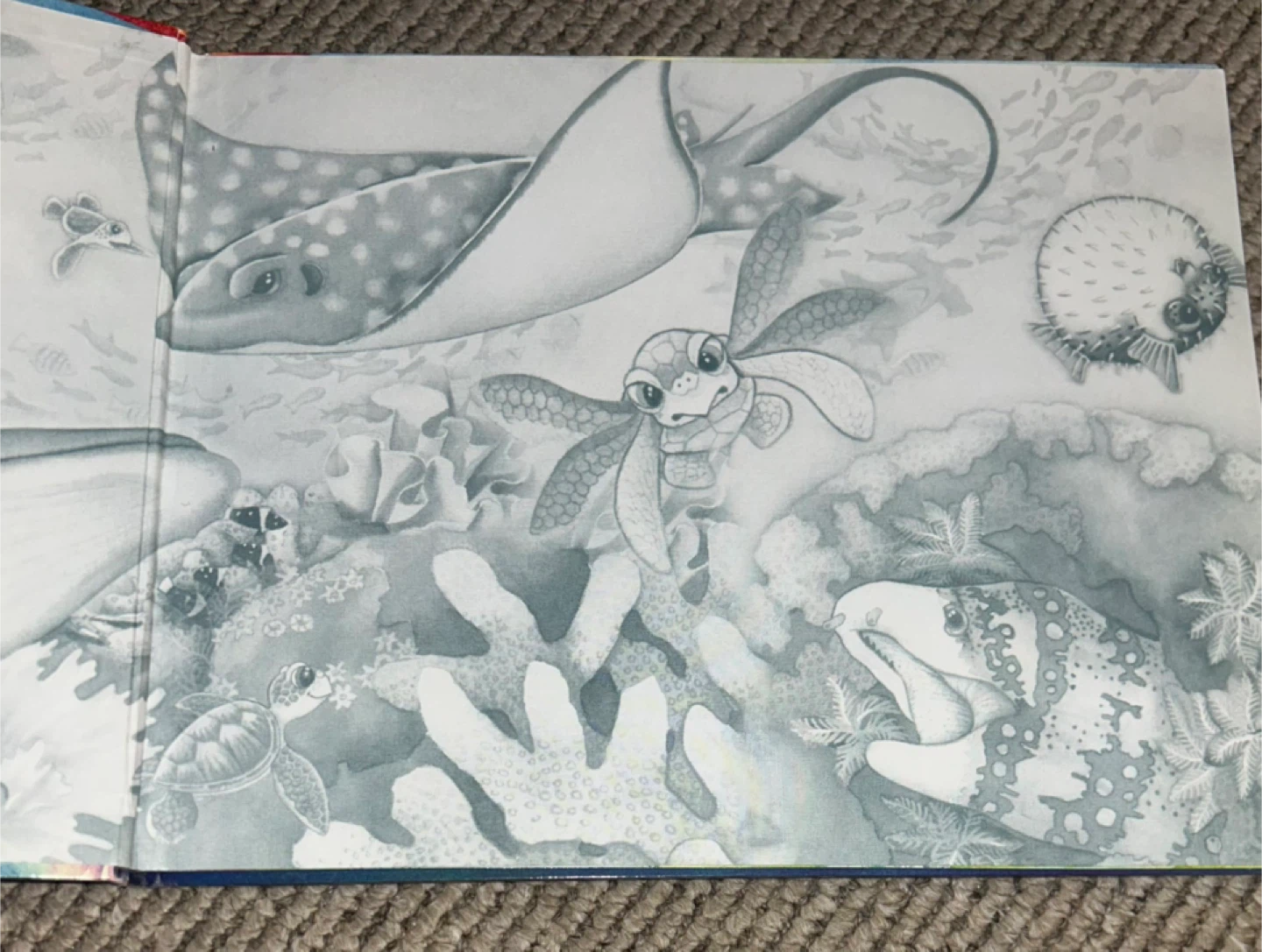 Baby Honu Saves The Day Book by Tammy Yee - photo 2