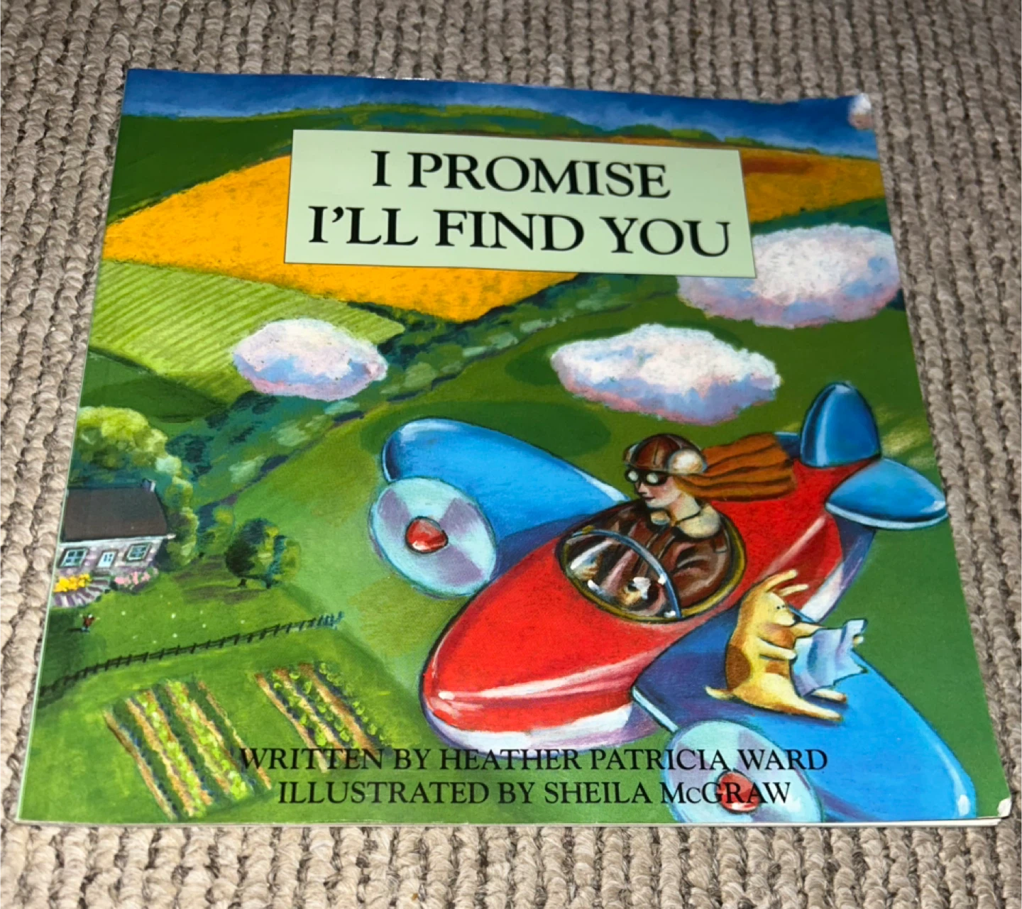 I Promise I'll Find You Children's Book by Heather Patricia Ward