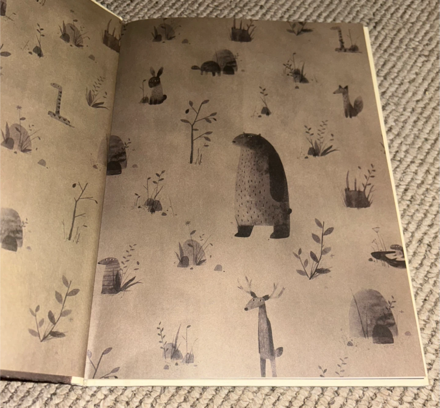 I Want My Hat Back by Jon Klassen Children's Book - photo 2