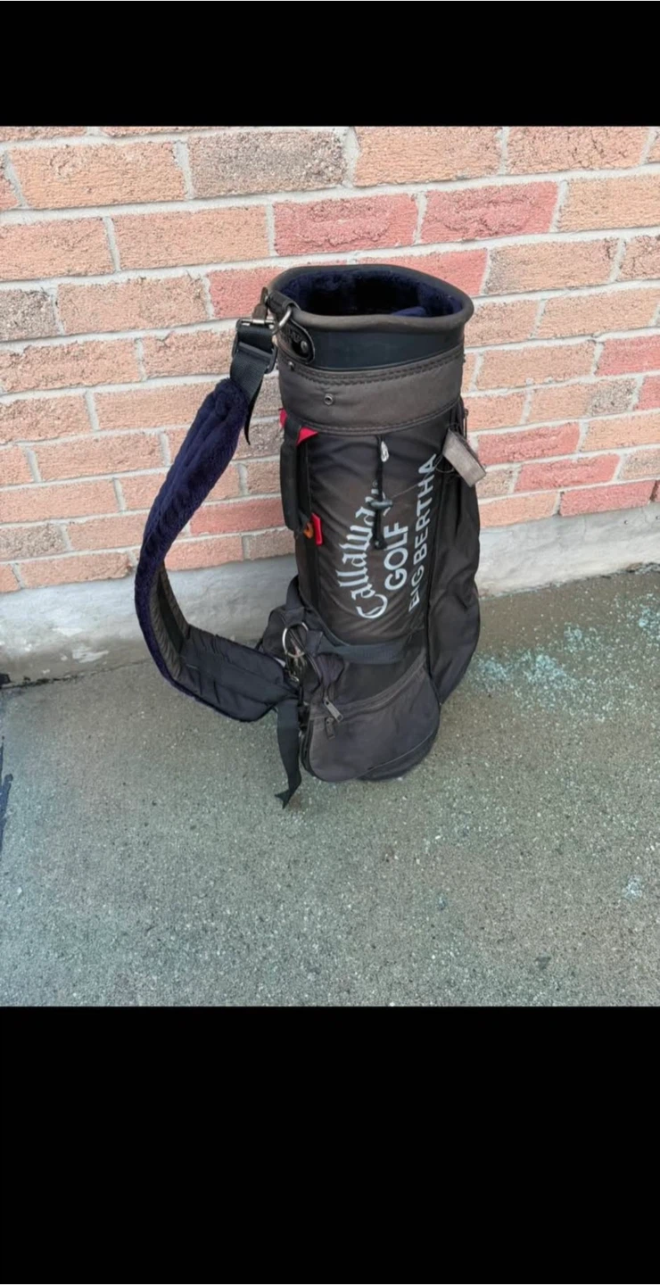 8 Golf Clubs and Golf Bag Set - photo 4