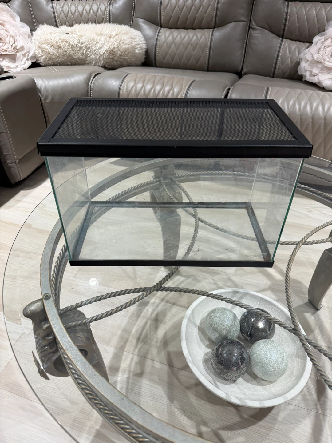 Reptile habitat fish tank like new