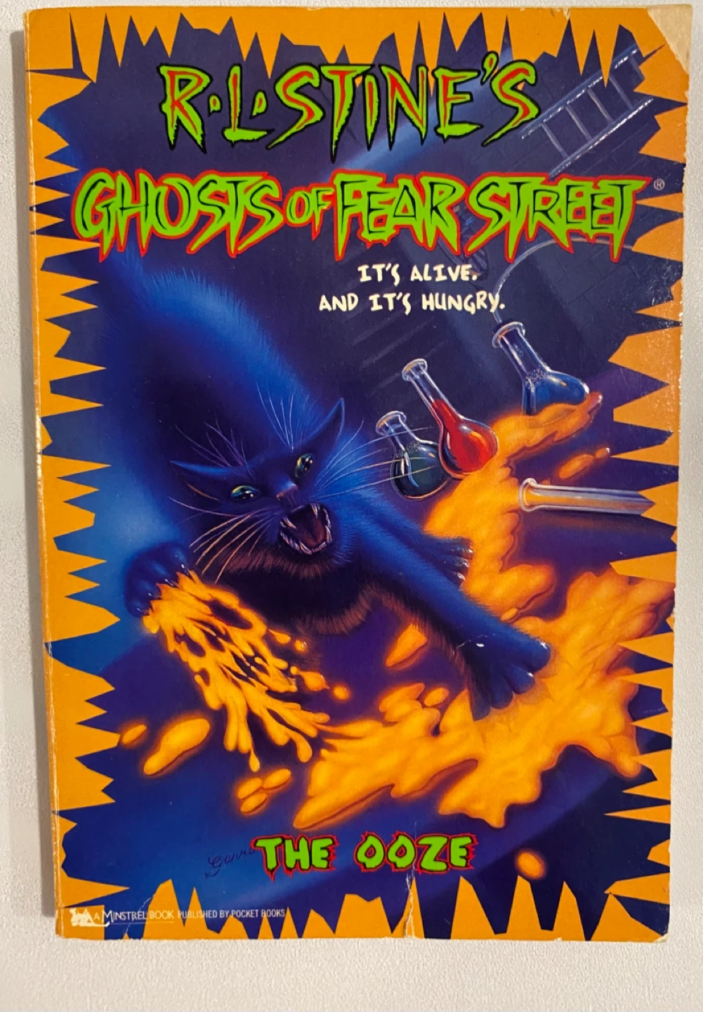 R.L. Stine's Ghosts of Fear Street Books - photo 2