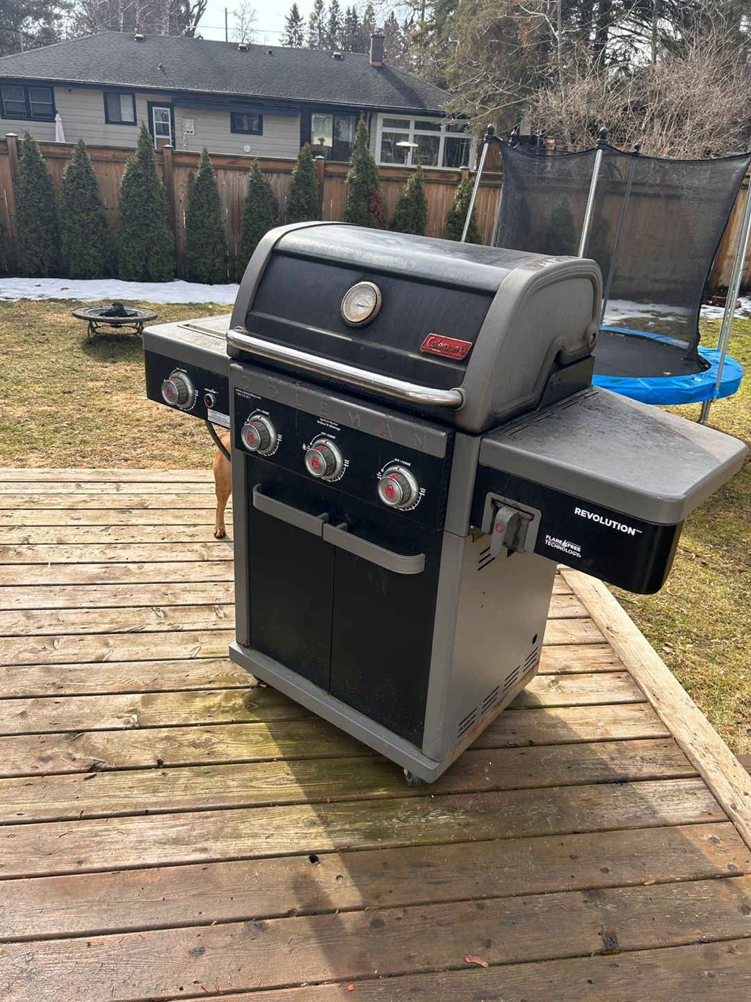 Coleman BBQ Grill