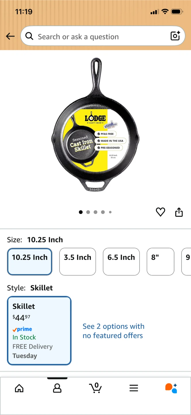 Lodge Cast Iron Skillet