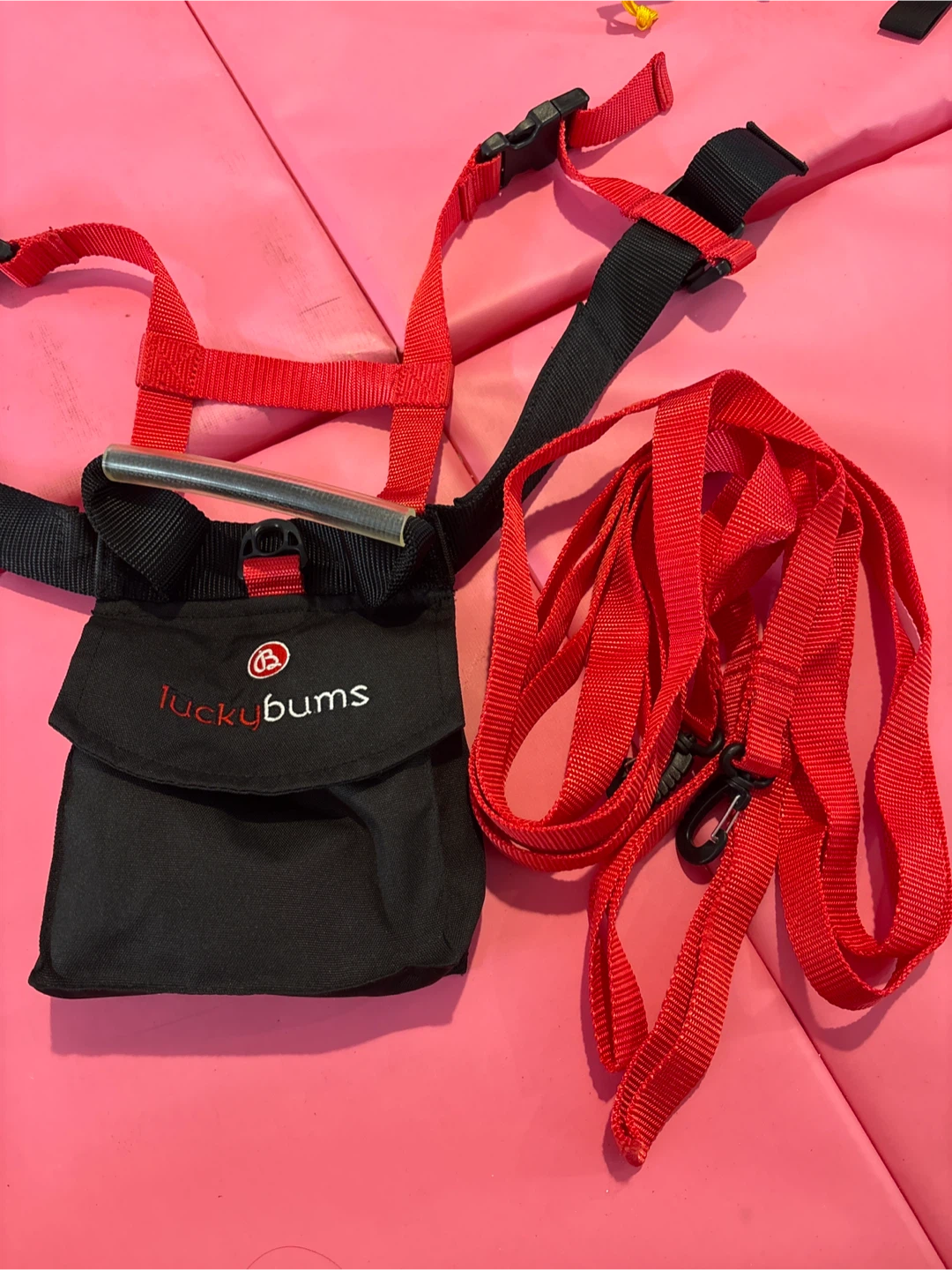 LuckyBums Baby Harness with Straps