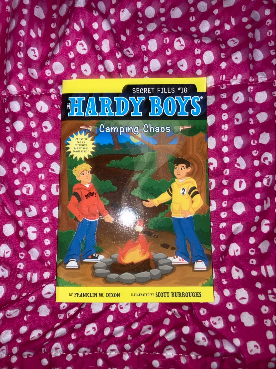 The Hardy Boys #16 Camping Chaos Book