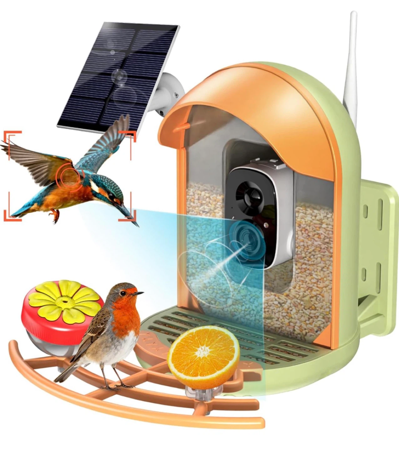 InstyQ Smart Bird Feeder with 2K Camera